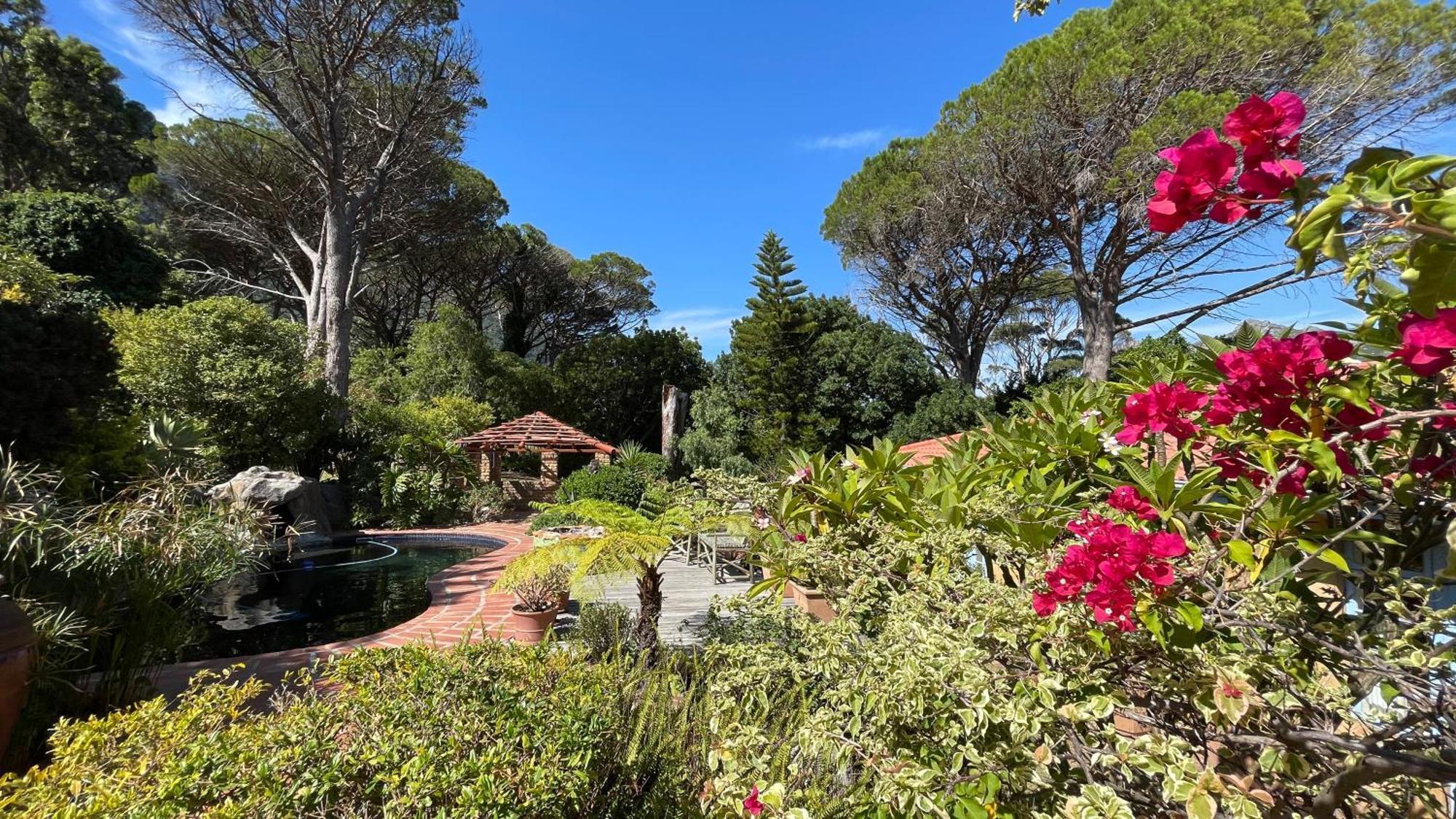 Unique Hout Bay House Villa Exteriör bild